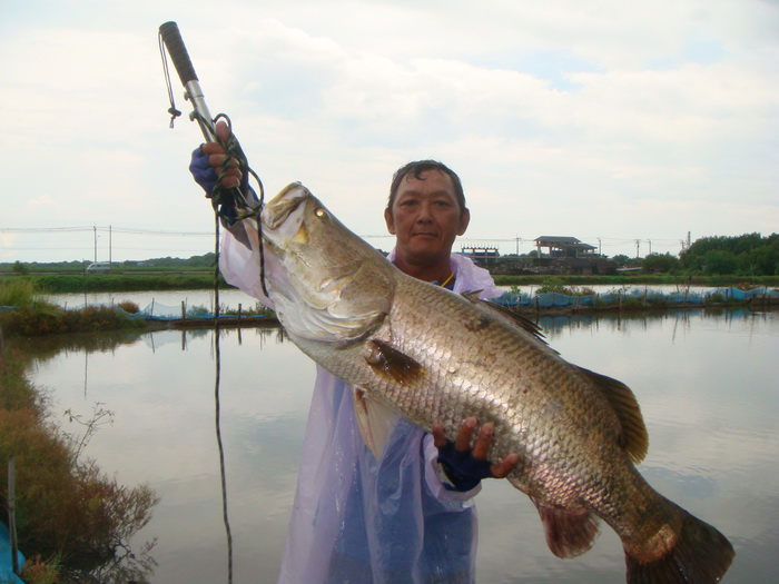 หล่อจริงๆ  :laughing: :laughing: :laughing: :laughing: :laughing:
