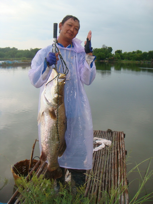 ขาดไม่ได้เลย ท่ามือแข็ง    :laughing: :laughing: :laughing: :laughing: :laughing:
