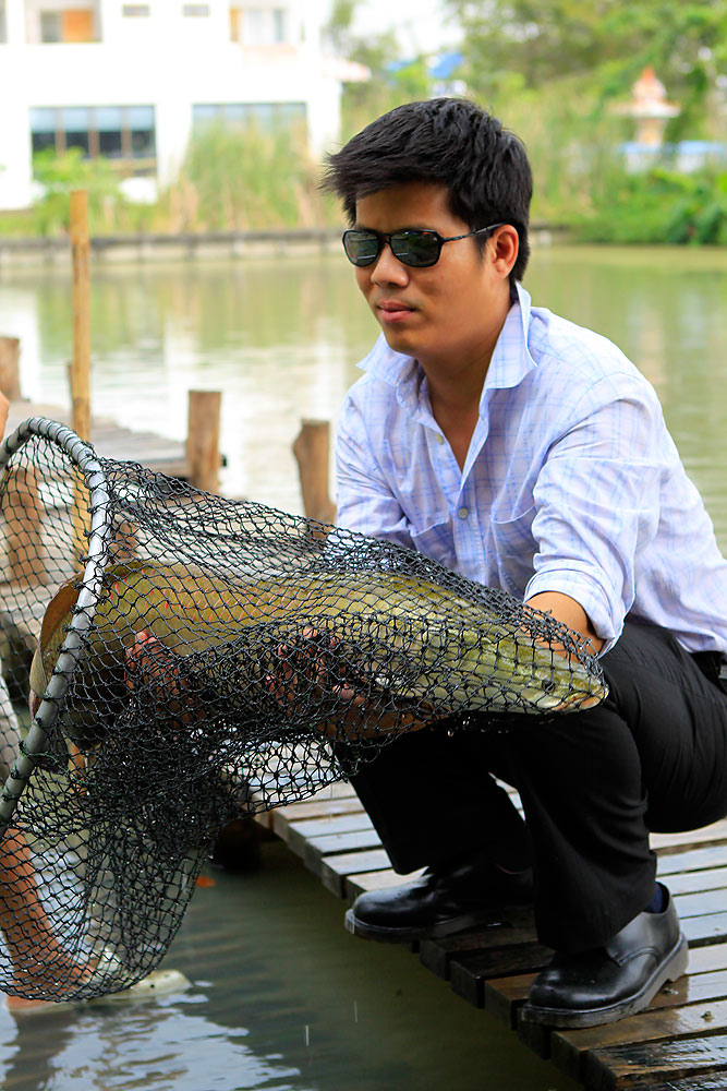 [center] ตกได้ต้องปล่อย พวกจะเอากลับบ้าน