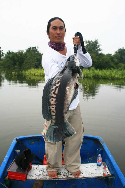 ตัวใหญ่มากครับตัวนี้   :grin: :grin: