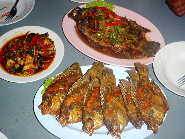 เสร็จแล้วครับ เสริฟถึงที่ อิ อิ อิ 


[q][i]อ้างถึง: aunaun posted: 22-10-2552, 20:31:50[/i]

 