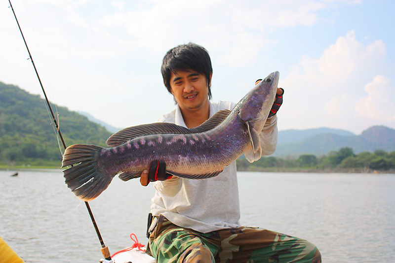 
 [q]รอชมครับ สลบสไหล[/q]
เป็นไงบ้างค่อย