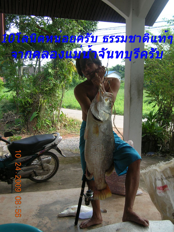 ขอขอบคุณแม่น้ำจันทบุรีที่ๆมีกะพงให้ได้ตกอยู่เรื่อยๆ