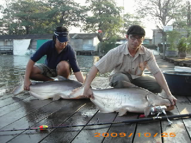 ต้องขอกลับบ้านไปนอนก่อนละครับ ตื่น