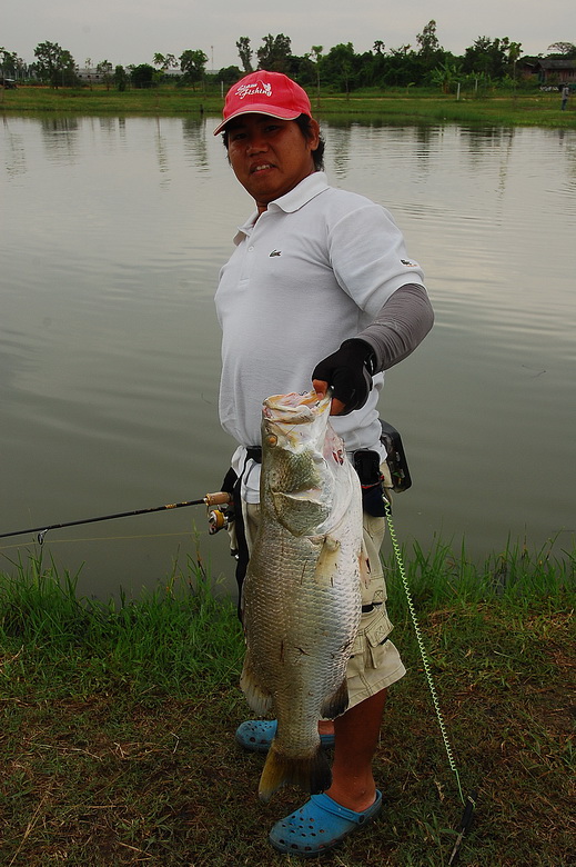 ยกโชว์หน่อยจิ   :laughing: :laughing:  
สูงอีก  สูงอีก  สูงอีก  :laughing: