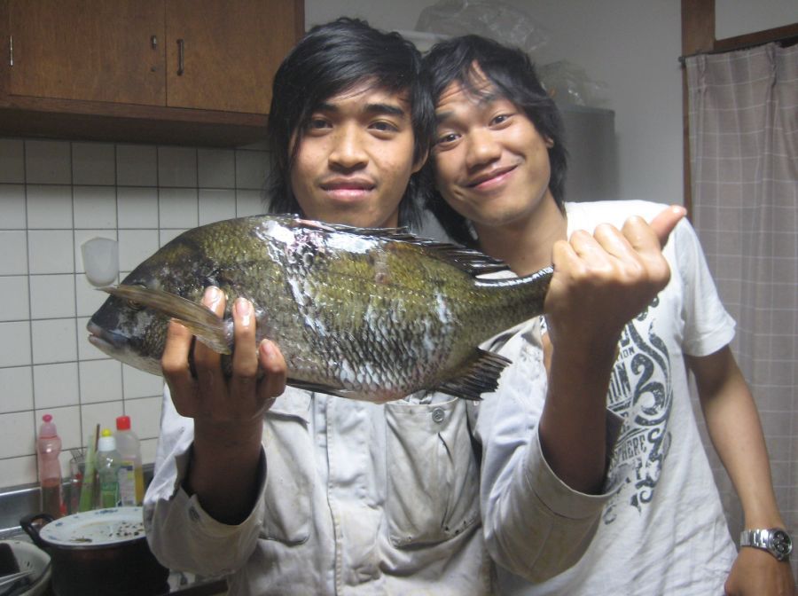 อีกตัวครับ