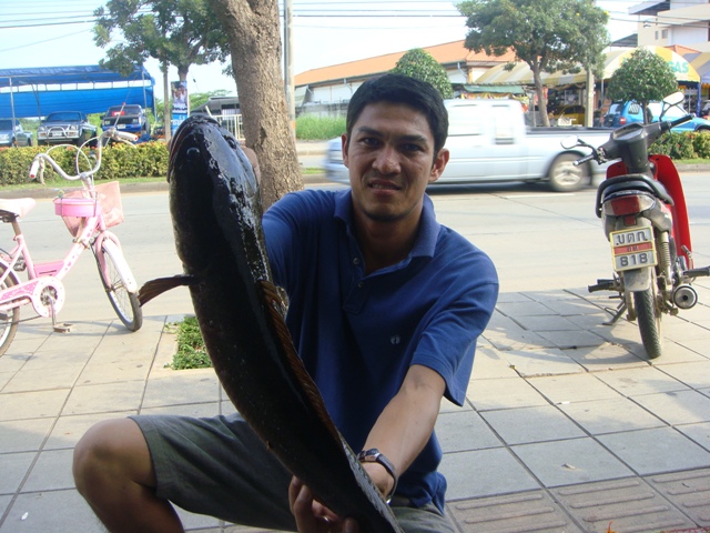 อีกชักรูป..... :laughing: :laughing: :laughing: