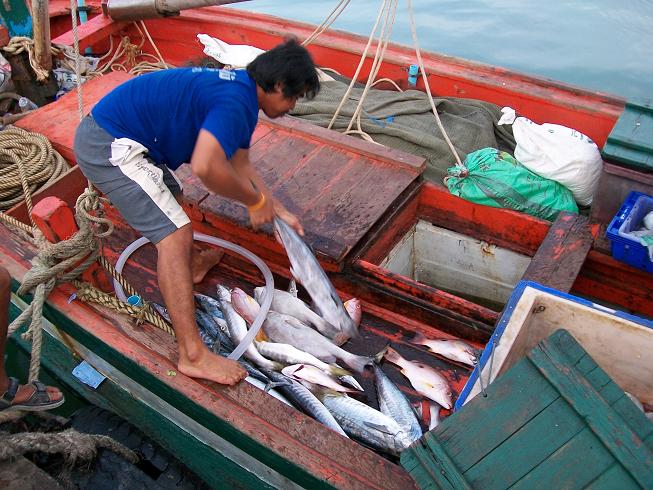  ผู้จัดการ ของเรือลำนี้:laughing: :laughing: :laughing: