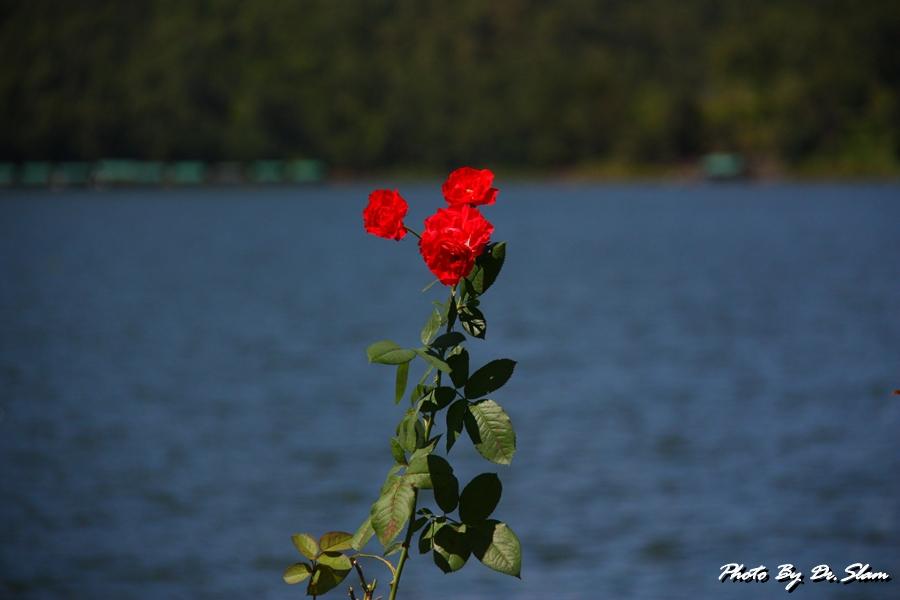 สุดท้ายกระผมขอลาด้วยภาพนี้แล้วกันครับ เชิญน้าเอกต่อได้เลยครับ :love: :love: :love: