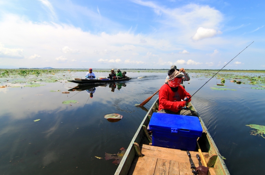 footfish.........สวัสดีครับ น้าหรั่ง.........ปลาบึง....คิ.คิ.....ปลาเพ็ดบูนขอเวลาอีกนีสจ้า
 :grin: 