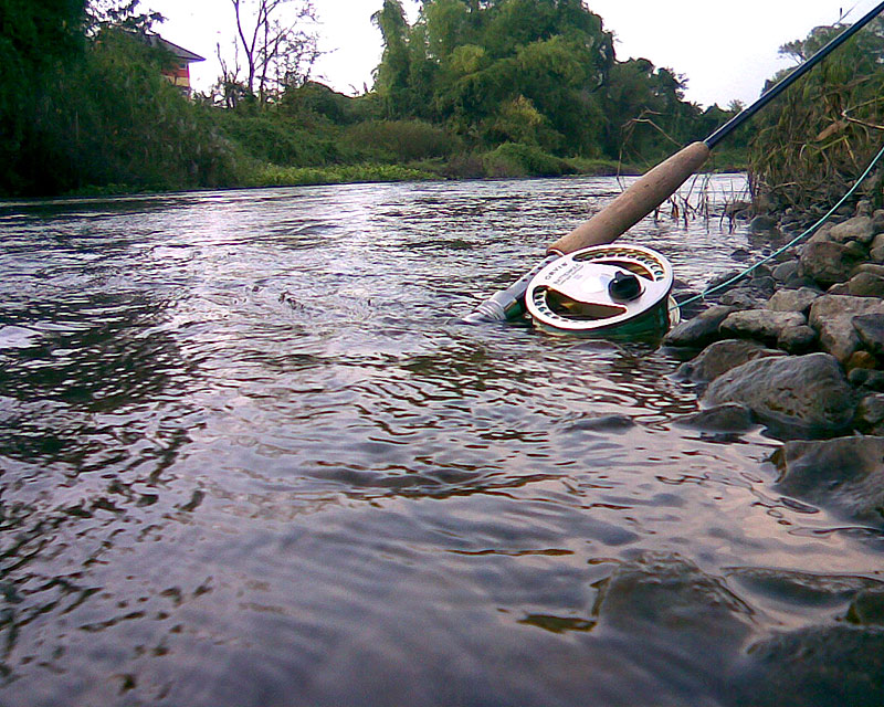        -----------Thayang River  on Fly  ------------