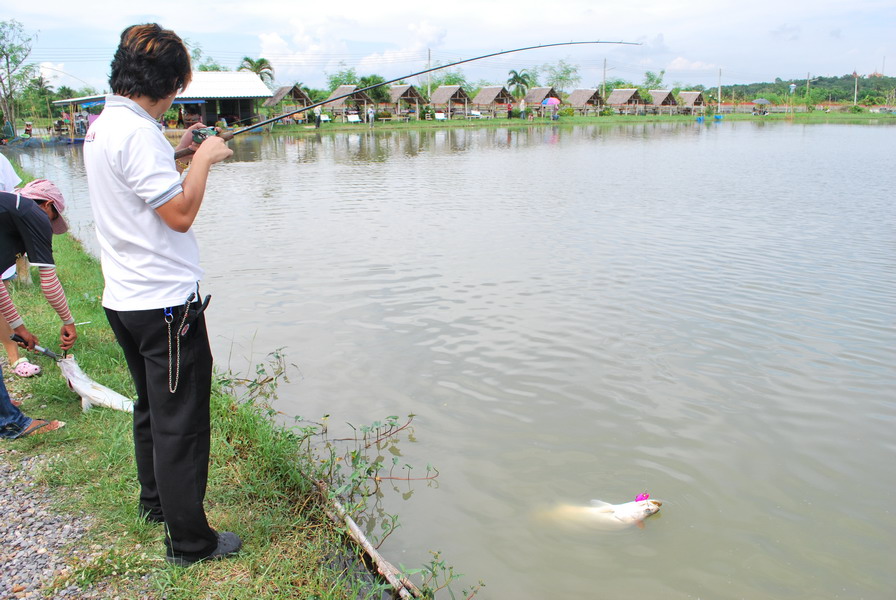 อัดปลาไวอย่างกะลิง หรือว่ามันเป็นล