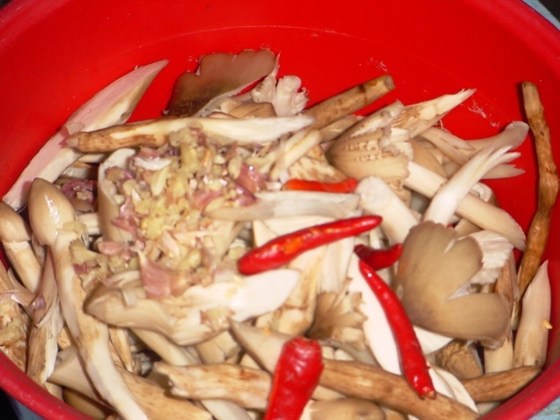 เห็ดโคนผัดน้ำมันหอย เข้าคิวรอแล้วค