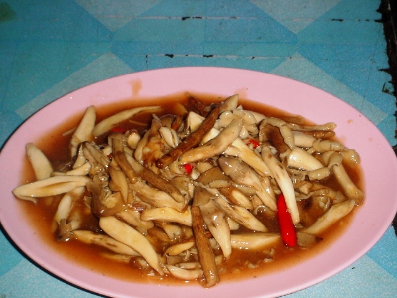 [q][i]อ้างถึง: โยเด็กวัด posted: 29-10-2552, 19:52:24[/i]

++1 ส