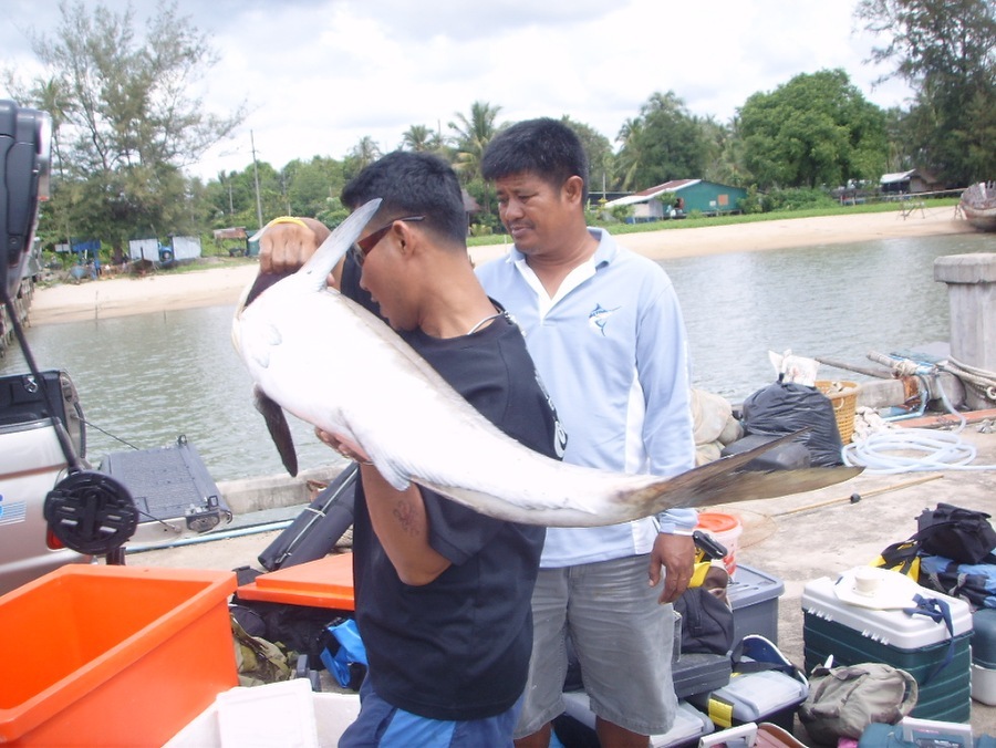 กลับบ้านกับพี่ๆนะ