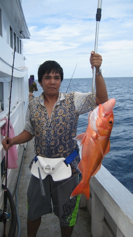 เหยื่อใช้เนื้อปลาโอแลกกับสีทองครั