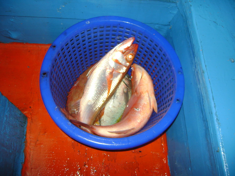 เข่งนี้ของท้ายเรือ สตีฟ กับ เดเนี่ยล