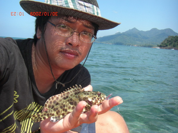 โฉมหน้านักเลงโขดหิน กัดปุ๋ปมุดหินป