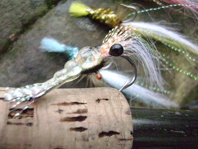 กุ้งน้อย พี่อุ๊ให้มาครับ สวยๆ  :grin: