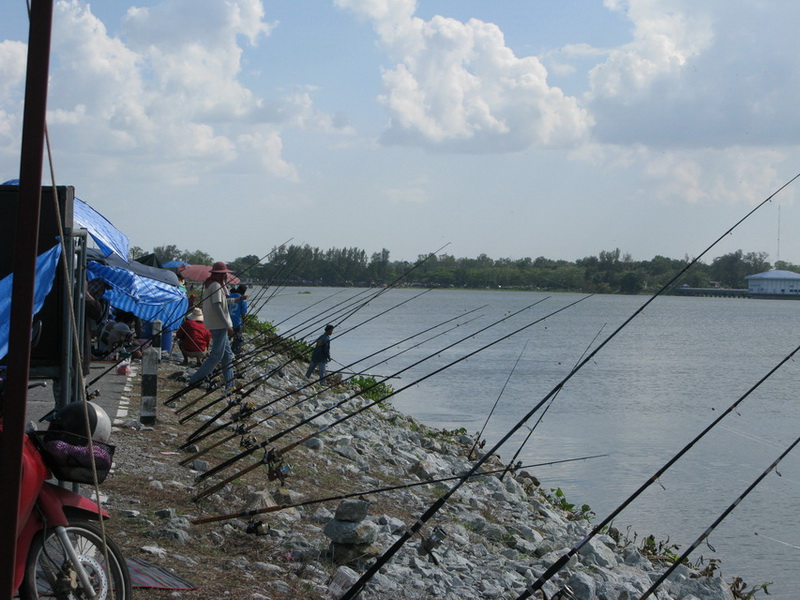  [b]บรรยากาศริมตลิ่งฝั่งซ้ายเงียบกริ