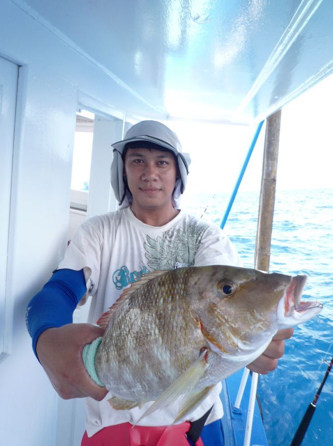 หมูสีไซส์สอง มีขึ้นมาปะปราย  
 

 [b]ผมพยายามลงคลิปตั้งแต่เมื่อวานนี้แล้วครับแต่ภาพไม่มา เดี๋ยวพย