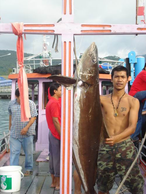 พี่บ่าว......ยังจำเรือลำลำนี้ได้ม้าย.....น้องบ่าวเอง....ไม่ทักกันเลย..... :laughing: :grin: :angry: