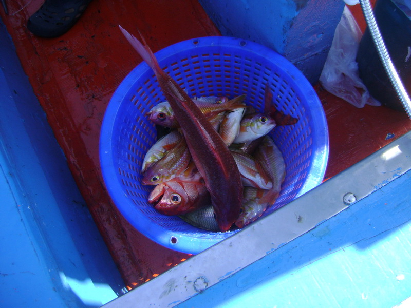 เอ้า ท้ายเรือก็ช่วยทำมาหากินเหมือนกัน