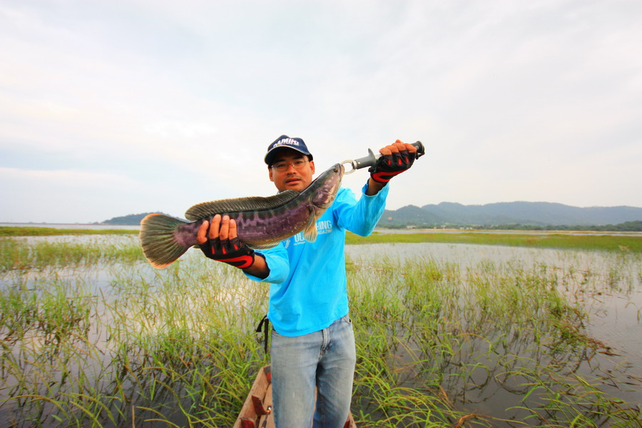 หวัดดีครับ น้า Fishingjoke ขอบคุณครับ  :love: :love: :cheer: :cheer: :cheer:

____________________