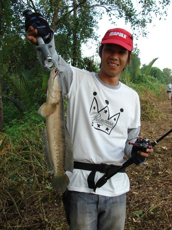 ของ น้องต้น บ้างล่ะ  :cheer: :cheer: