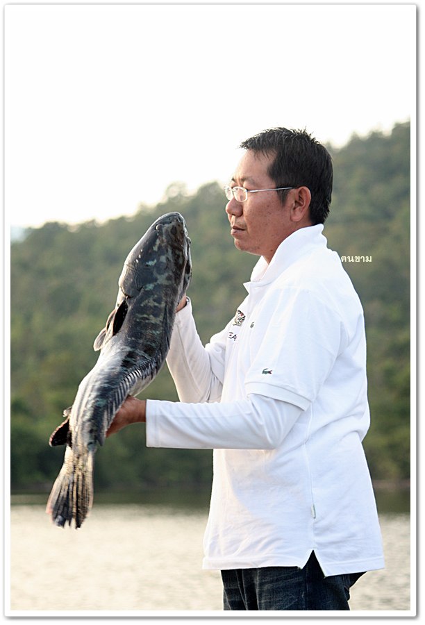 มาหล่อเลยนะเที่ยวนี้ :laughing: :laughing: :laughing: :laughing: :laughing: :laughing: