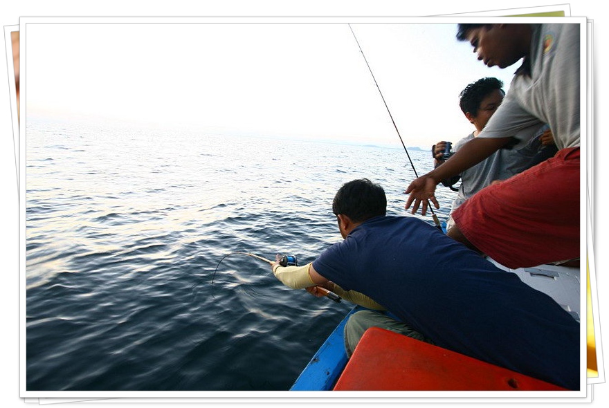 ภาพปลาตัวนี้ไม่ได้ถ่ายรูปครับผิดพลาดทางเทคกะนิค 
ไซค์พอได้ใจครับพาเดินรอบเรือ :grin: :grin: :grin: