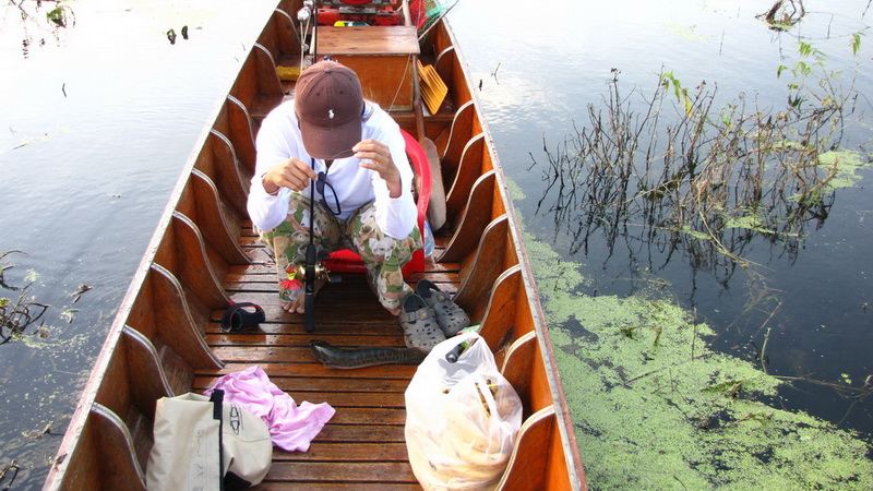 
    วันนี้ในเรือเรามีถุงกล้วยหอมมาด้วย............จะเอาไปเลี้ยงลิง ตามเกาะ....คอยชมนะครับ.....

