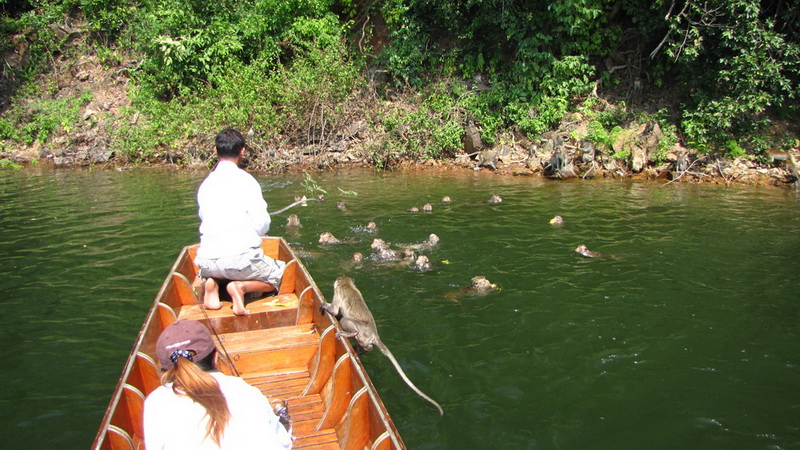 
     มันบุกขึ้นเรือแล้วววววววววววววว.............................มากันเป็นฝูง......

 :laughing: