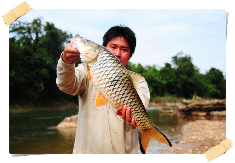 กระสูบสี่โล ทำไมมันถือแล้วเล็กจังฟะ :grin: