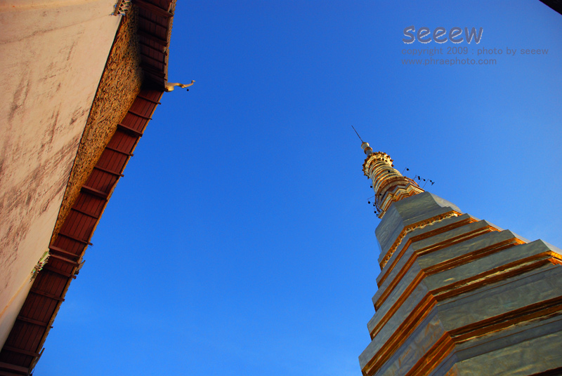 D80 + AFS 18-135 f3.5-5.6