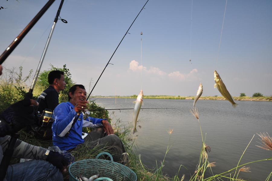  เกิดศึกเห็ดโคนชิงแชมป์โลกแล้วครับ :laughing: :laughing: :laughing: