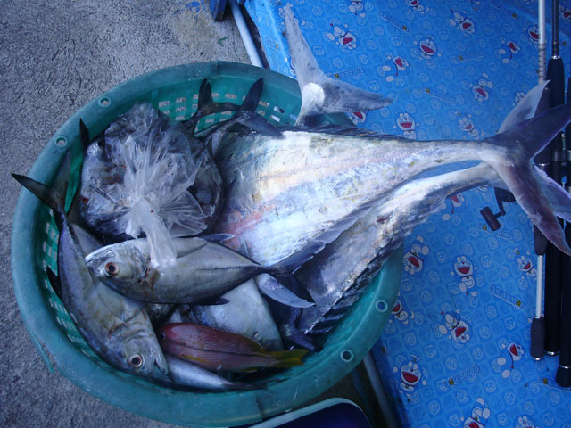 ไม่ไหว ๆ เหยื่อก็ดี ปลาก็กะลังกิน แต่คนสิ้นสภาพซะ
น้าbigbass เปิดช่องให้เข้าฝั่งก่อนไหม ไม่ต้องรอเย
