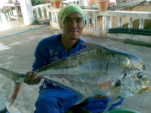 ตาbigbass อีกคน เอาเค้าไป ปิดท้ายด้วยรูปนี้แล้วกันนะ
นี่แหละที่มา แสมสารเมาไม่จับ
เมาแล้วไม่ยอมจับ