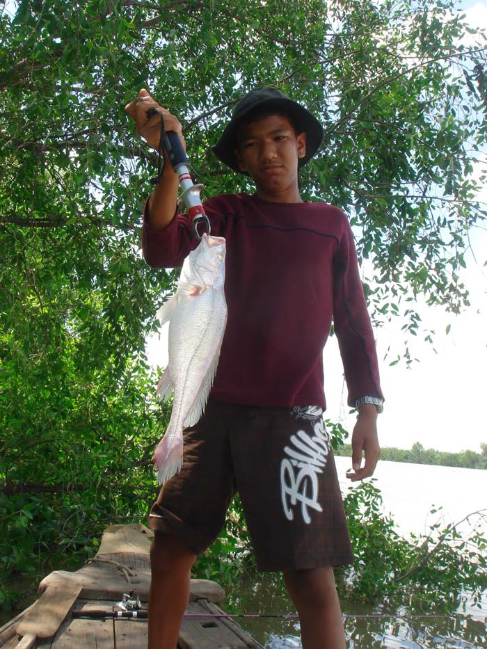 สวัสดีครับน้า [b]กโน๊บ[/b]




เอ้า........แอ