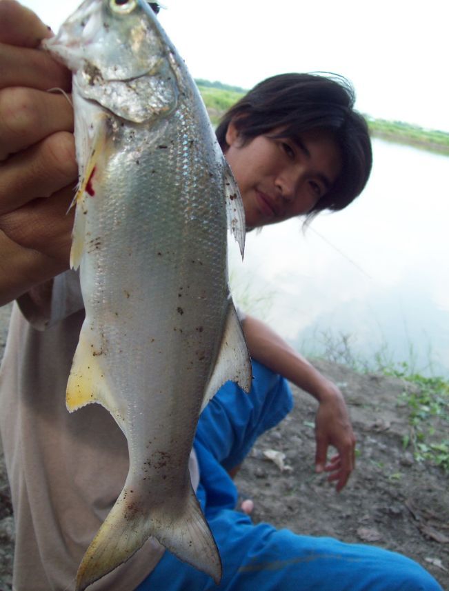 น้าฟิวส์ขอหล่อมั่งอิอิ :laughing: