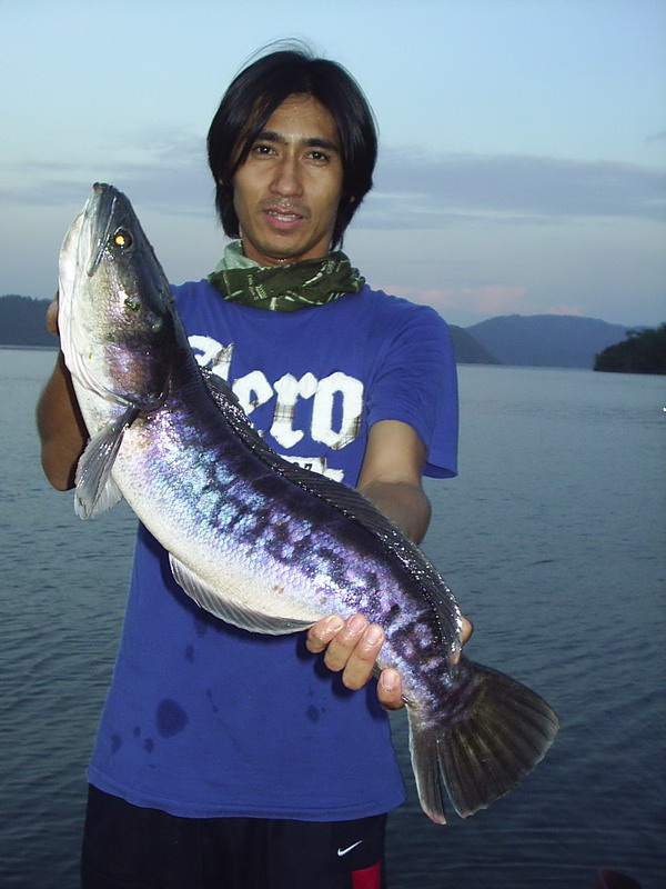 ก่อนแข่งเก่งทุกทีเดี๋ยวพรุ่งนี้แห้วแหงงง :grin: