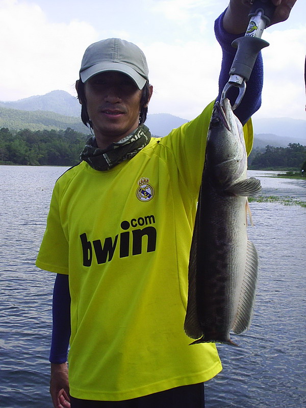 ตัวเล็กกว่าตอนซ้อมอีกอย่างนี้ไม่ได้ถ้วยแน่ :grin: