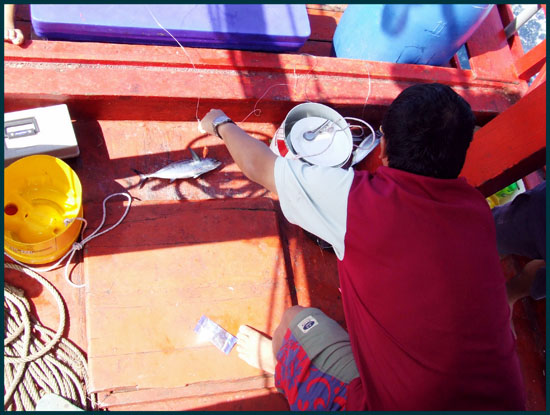 ได้ขึ้นมาสามหน่วยเฮียคิมปลดให้
 :cheer: :cheer: :cheer: