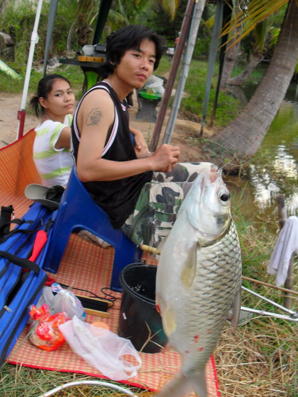  :ohh: :grin: :laughing:

พึ่งเจอตัวแรกเลยครับตะเพียนเนี่ย 

 :laughing: :laughing: :laughing: