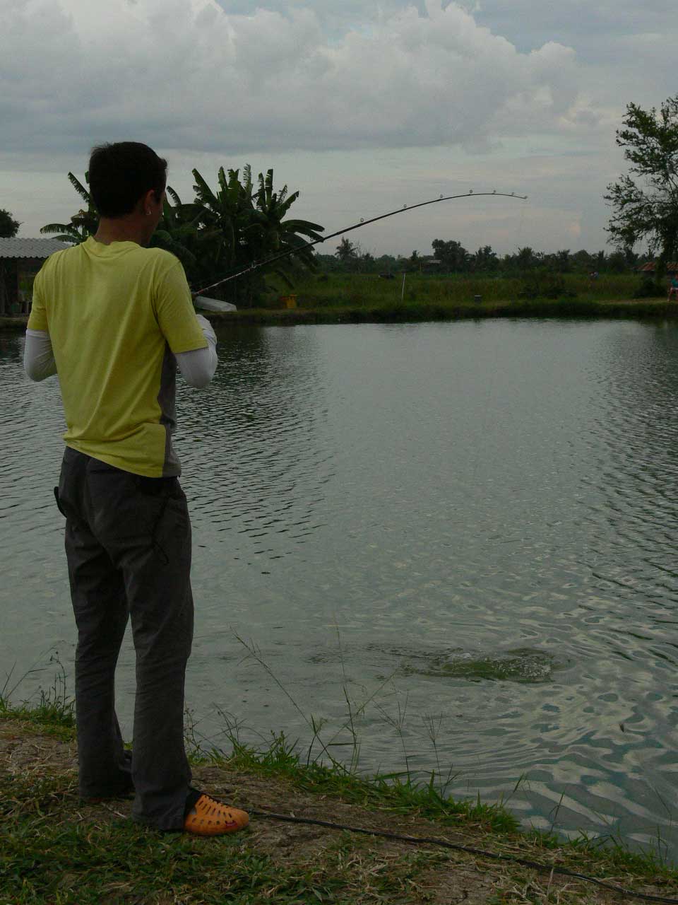 เห็นดึงดี