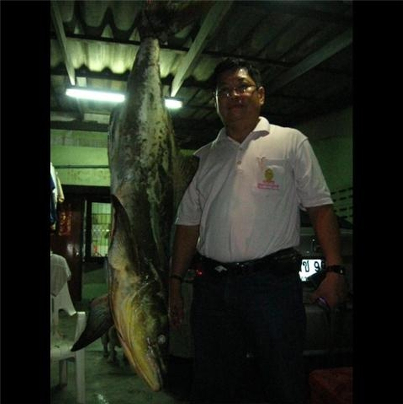 เทียบขนาด