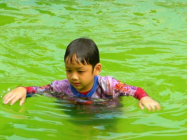 น้องปัน ปัน เล่นน้ำสนุกสนานครับ  คุณ