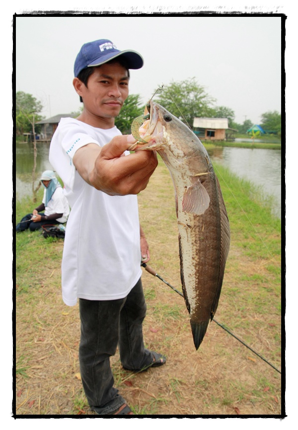 โชว์ตัวหน่อย :laughing: :laughing: :laughing: