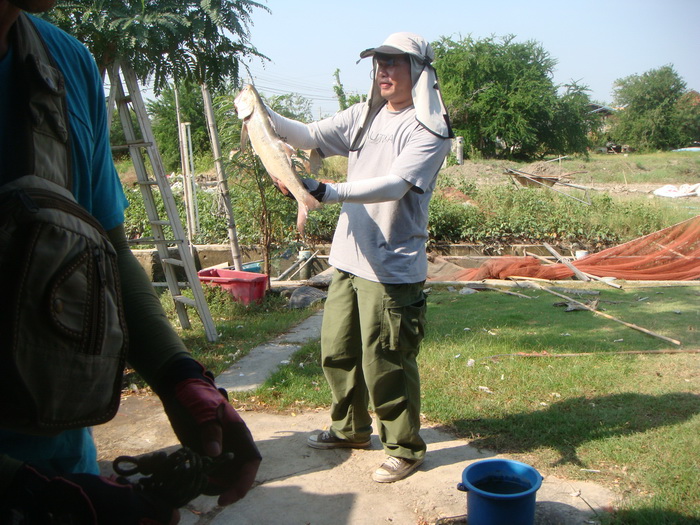 แอบถ่าย น้าบี กับกุเราโทรฟี่ครับ  :grin: