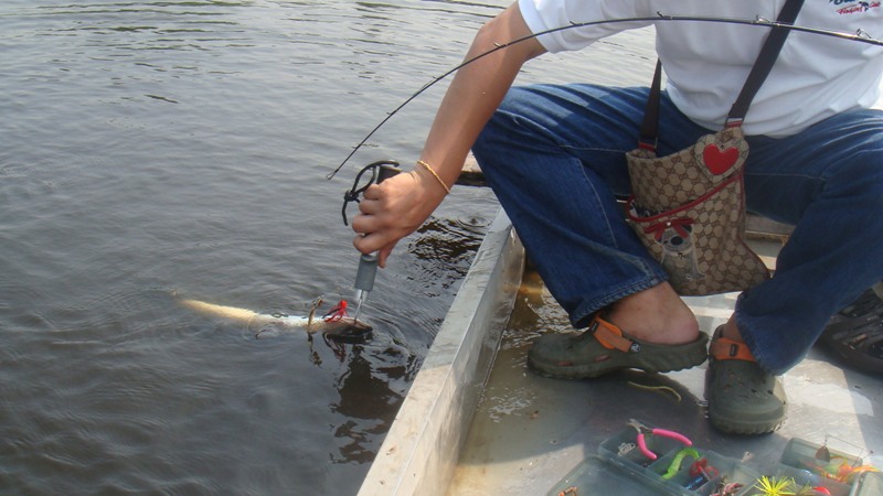 ขึ้นมาคุยกันบนเรือดีกว่านะครับคุณ
